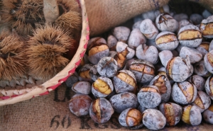 Animação para todos os gostos e com dois dias especiais na 353ª Feira de S. Martinho