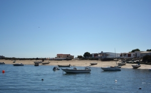 Mais de 300 pessoas exigem suspensão de demolições na Ria Formosa