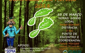 Caminhada pela Floresta 2018