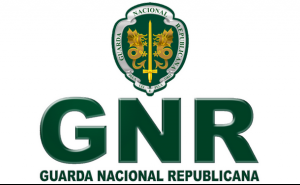 GNR apreende em Olhão cavala sem tamanho legal para comercialização