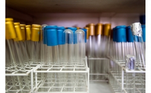 «Infraestruturas de Investigação apresentadas na CCDR Algarve»