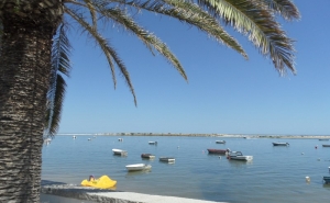 Algarve registou a água do mar mais quente dos últimos 16 anos em julho e agosto