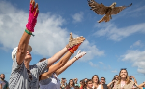 Programa do Festival de Observação de Aves disponível online a partir de hoje