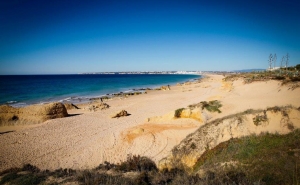OPERAÇÃO PRAIA LIMPA 2019
