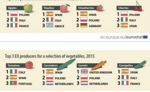 Portugal foi o terceiro maior produtor de tomate da UE em 2015