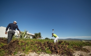 Reclusos preparam nova vida com trabalho na ilha da Armona 