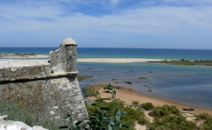 Governo deve intervir no extremo nascente da Ria Formosa com «urgência»