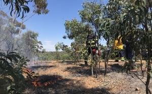 AMAL promove Curso de Fogo Controlado