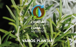 «VAMOS PLANTAR!» | ODEMIRA ASSINALA DIA MUNDIAL DA ÁRVORES COM OFERTA DE ESPÉCIES AUTÓCTONES À POPULAÇÃO