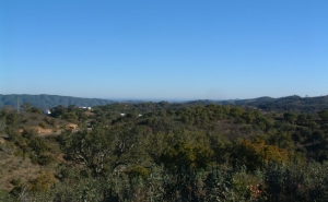 Município de São Brás de Alportel atribui apoio à Associação de Produtores Florestais da Serra do Caldeirão