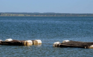 Apoios à transformação dos produtos da pesca e aquicultura abertos até 7 de Outubro
