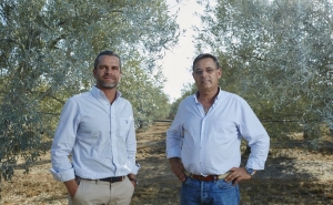 O Olivoturismo, o novo produto turístico do Algarve