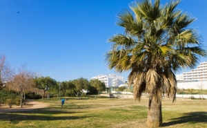 REMODELAÇÃO DO PARQUE DE VALE FARO EM CERCA DE 300 MIL EUROS