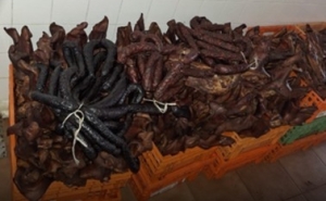 Operação Fumados | ASAE fiscaliza segurança alimentar em produtos à base de carne  