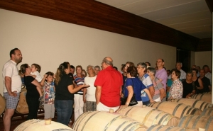 Mais de 800 participantes na edição de 2017 dos Passeios seniores de São Brás de Alportel