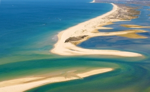 Câmara de Olhão vai candidatar Ria Formosa a património da UNESCO