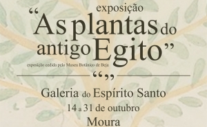 As Plantas do antigo Egito em exposição, na Galeria do Espírito Santo 