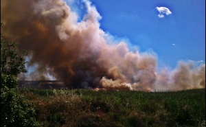 50 Operacionais combateram Incêndio na Luz de Tavira