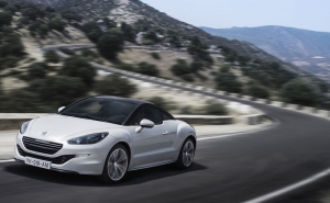 Diogo Gago na Taça de Portugal de Ralis com Peugeot RCZ