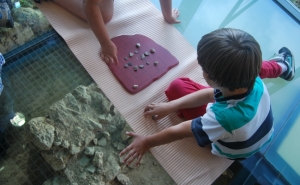 MUSEU MUNICIPAL DE LOULÉ PROPÕE ATIVIDADES DE EDUCAÇÃO PARA O PATRIMÓNIO JUNTO DAS ESCOLAS