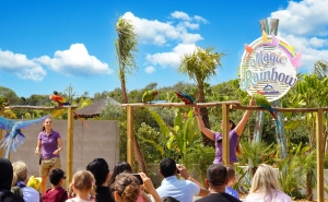 Zoomarine destaca recorde histórico da AIZA que ultrapassou os 15 milhões de visitantes em 2025