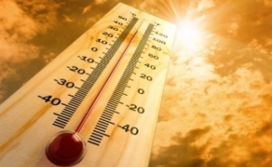 Incêndios: Mais de 100 concelhos do interior Norte e Centro e Algarve em risco máximo