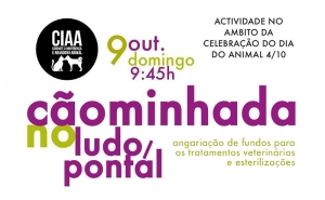 6ª CÃOMINHADA CIAA 