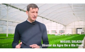 RiaFresh®, Agricultura, um Ativo Estratégico para o Algarve