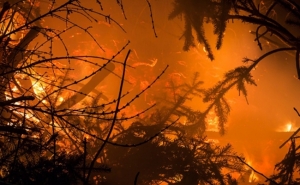 Incêndios | Algarve teve este ano 10 vezes mais área ardida mas de apenas três fogos