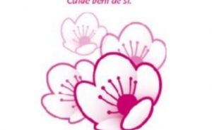 RASTREIO DO CANCRO DA MAMA EM LOULÉ DE MARÇO A JUNHO DE 2017