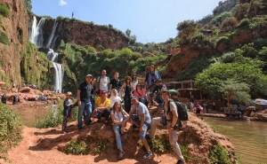 Mercado Avenida São João de Deus dinamiza várias atividades