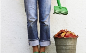 Perspetivas sobre a Felicidade 