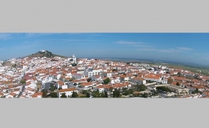 Imposto Municipal sobre Imóveis | Municipal de Aljustrel reduz IMI para o mínimo legal 