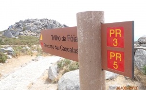 Reposição de trilhos e captação de visitantes visam relançar turismo em Monchique 