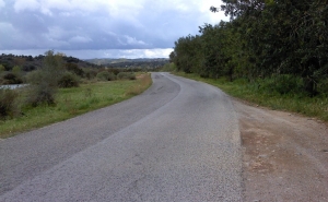 Conservação da estrada entre Tavira e o entroncamento da Nossa Senhora da Saúde