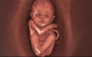 Novo estudo revela que Neandertais europeus descendem de uma única população