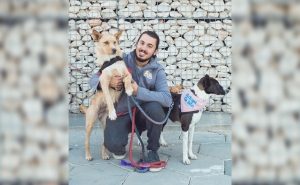 Reportagem | Um dia na Animal Rescue Algarve