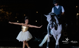 «GALA ALGARVE EQUESTRE» REGRESSA A ALBUFEIRA A PARTIR DO INÍCIO DE JULHO