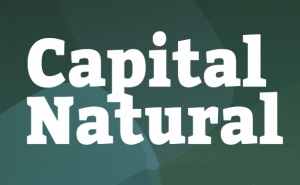 Investir em Capital Natural: NBI cria Guia de apoio aos investidores para o Município de Loulé