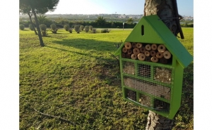 UNIÃO DAS FREGUESIAS DE FARO ESTÁ A INSTALAR CAIXAS-NINHO E OUTRAS ESTRUTURAS PARA PROTEGER A BIODIVERSIDADE URBANA
