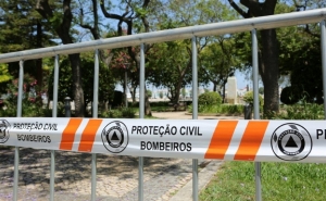MUNICÍPIO DE PORTIMÃO VAI SUBSTITUIR ÁRVORES EM RISCO DE QUEDA NO JARDIM VISCONDE BÍVAR