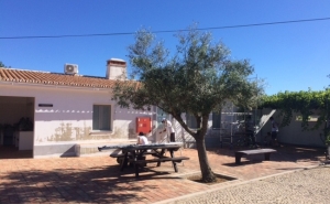 Jovens franceses em programa de intercâmbio ajudam nos trabalhos de manutenção da Quinta do Peral