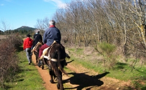 Algarve lança evento anual de promoção do Turismo de Natureza