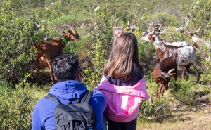 ADIAMENTO DO CAMINHEIROS – XI FESTIVAL DE CAMINHADAS DE ALCOUTIM E SANLÚCAR DE GUADIANA 