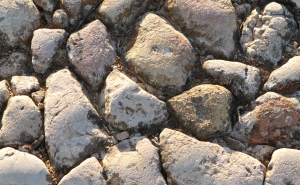 Exposição «A Força Do Andor» no Convento de Santo António