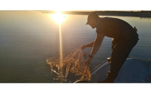 Polícia Marítima recolhe rede de 500 metros que constituía perigo para a navegação na Ria Formosa