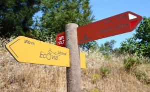 ALBUFEIRA JÁ ESTÁ NA ROTA DA VIA ALGARVIANA