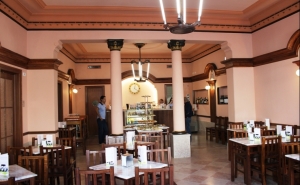 PSD Loulé indignado com «desnorte do executivo socialista na gestão da concessão do Café Calcinha»