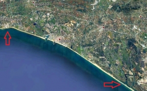 PSD Quarteira |  Em defesa dos Pescadores do Polvo de Quarteira