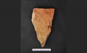 Exposição na Avenida Principal de Loulé apresenta Escrita do Sudoeste com Olhar Contemporâneo